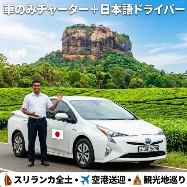 【フリープラン】セダン車のみチャーター ＜貸切／日本語ドライバー＞
